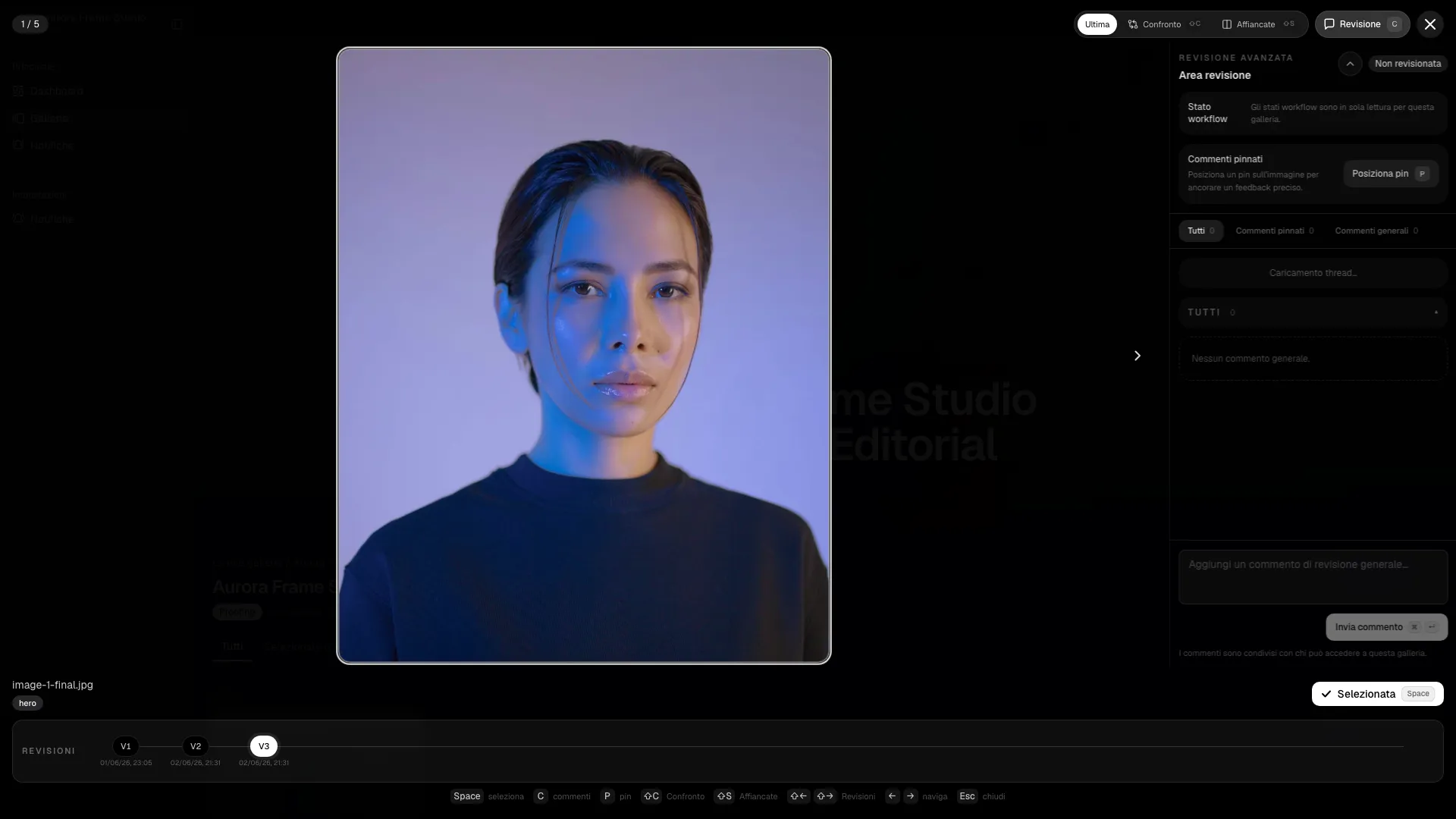 PhotoProofing advanced review workspace