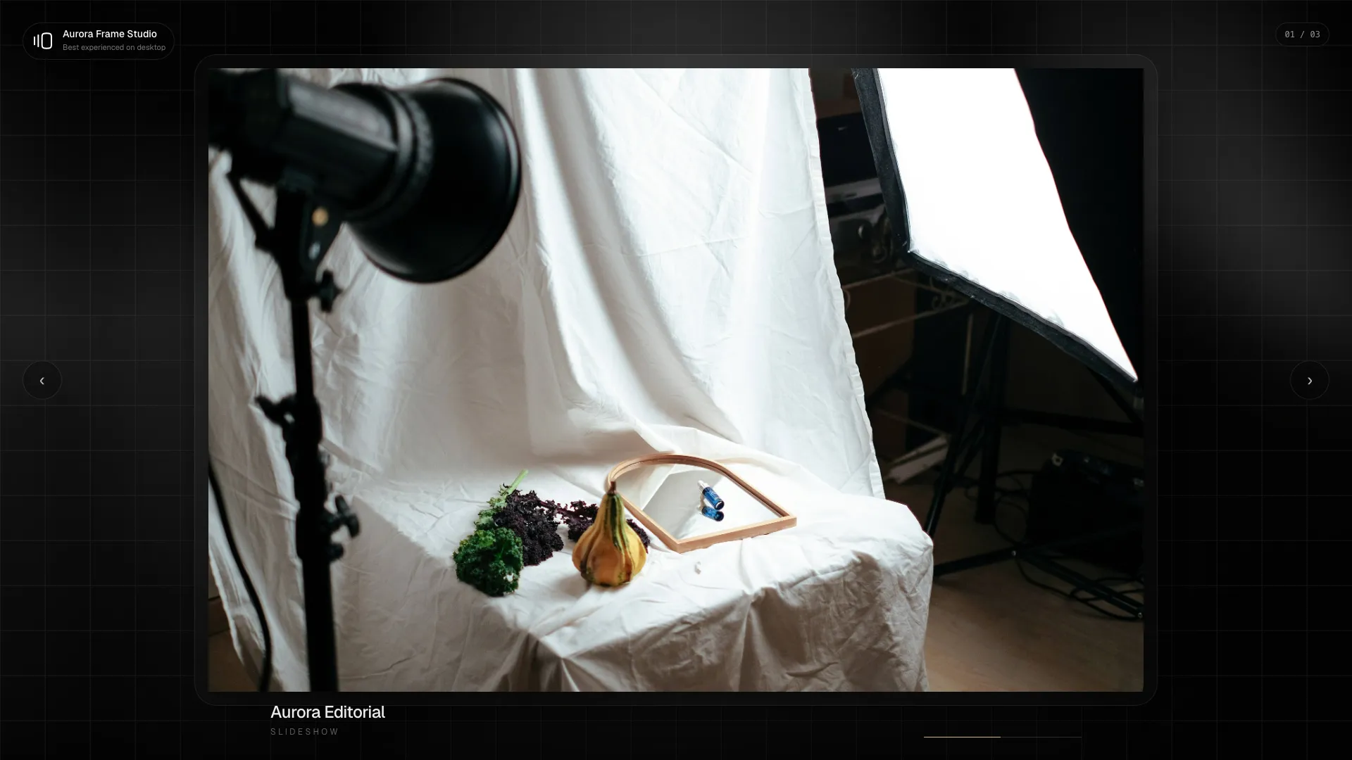 PhotoProofing public slideshow